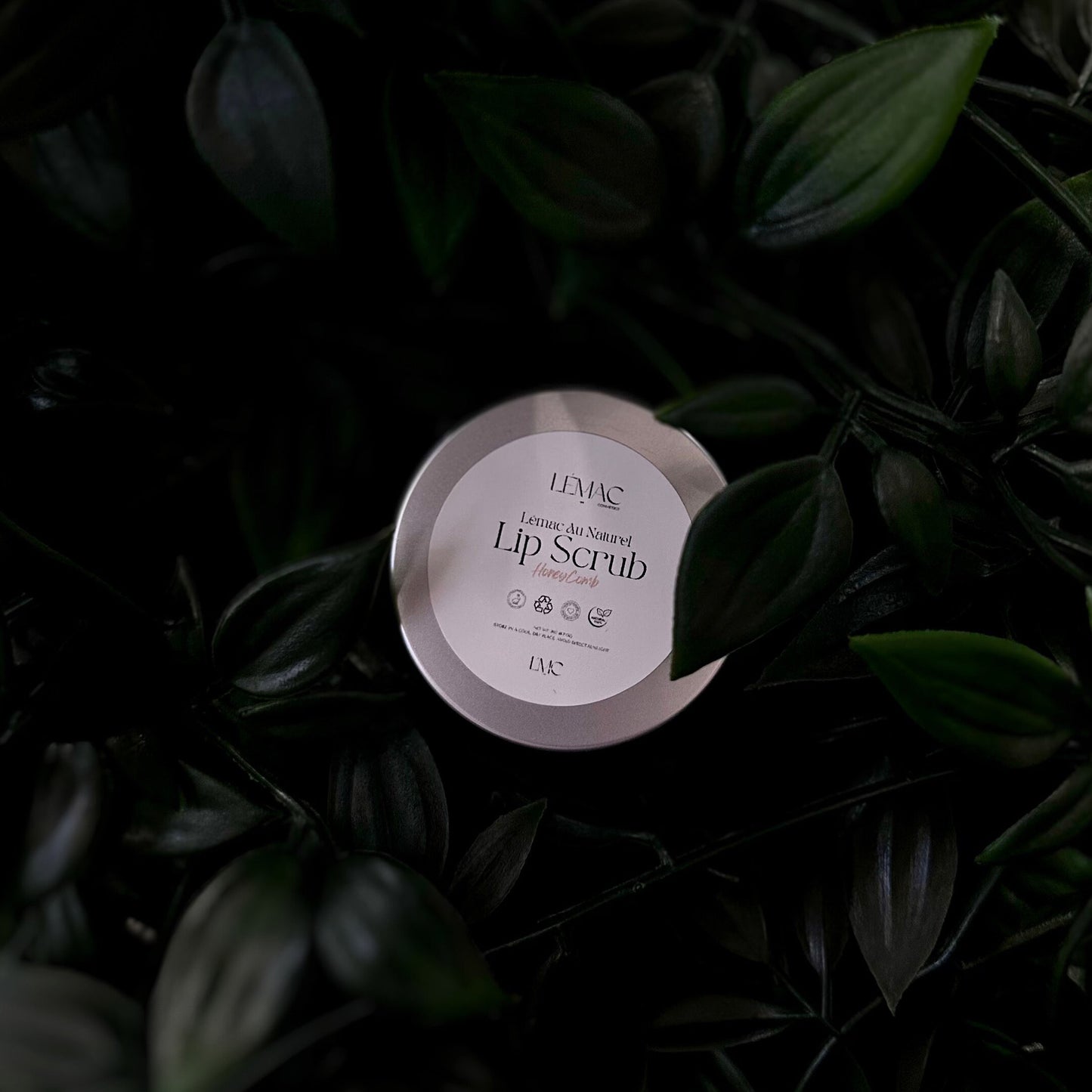 Au Naturel HoneyComb Lip Scrub